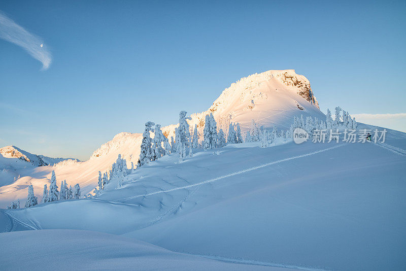 Table Mountain Snowshoe，华盛顿